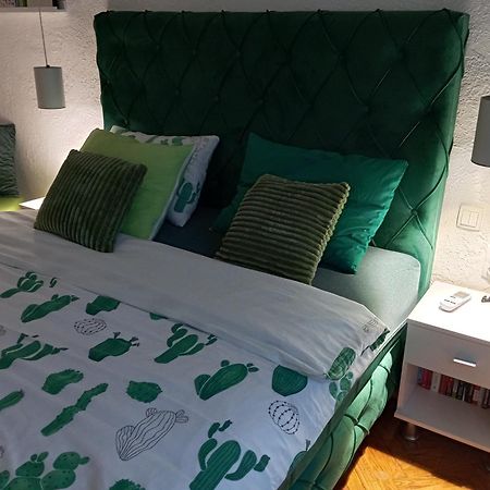Green Cactus Rooms - Unique And Cozy House Zenta Kültér fotó