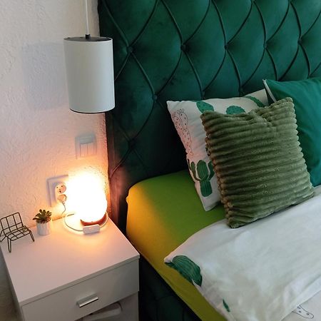 Green Cactus Rooms - Unique And Cozy House Zenta Kültér fotó