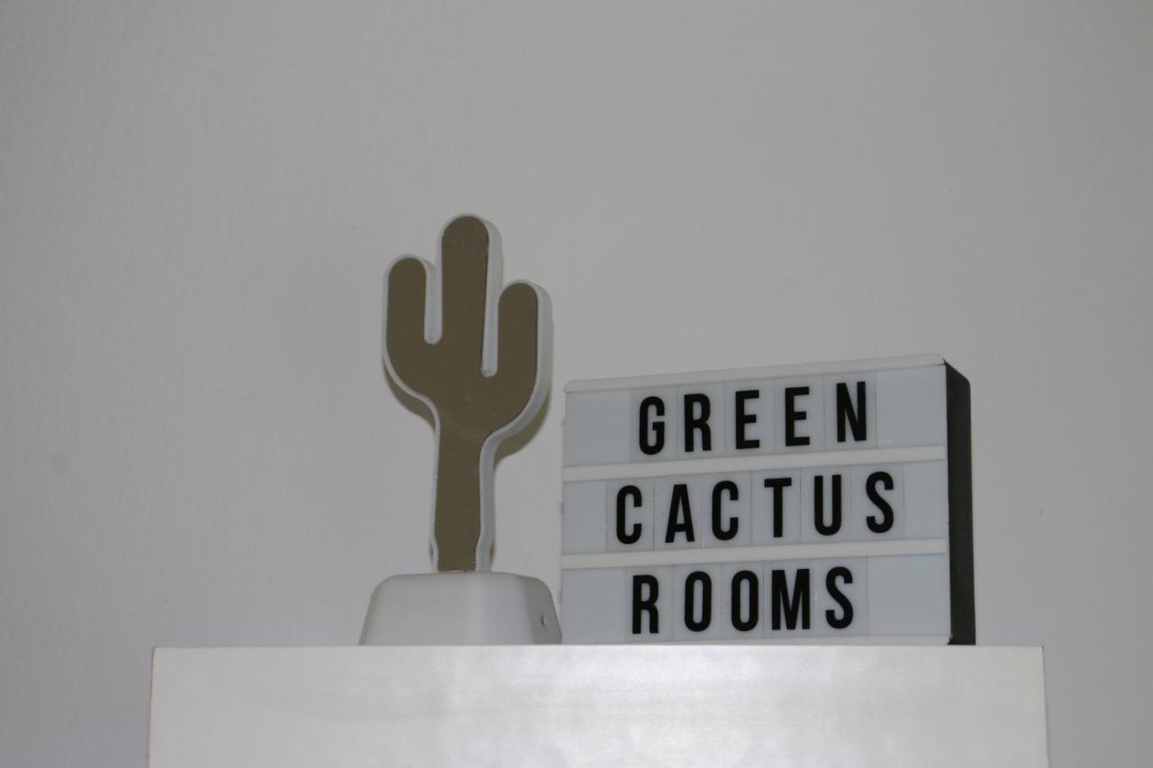 Green Cactus Rooms - Unique And Cozy House Zenta Kültér fotó