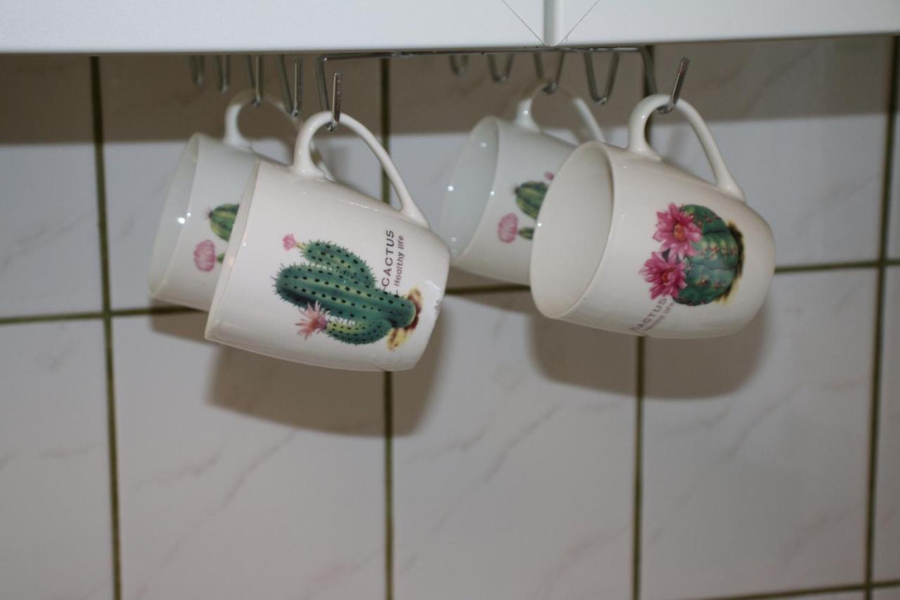 Green Cactus Rooms - Unique And Cozy House Zenta Kültér fotó