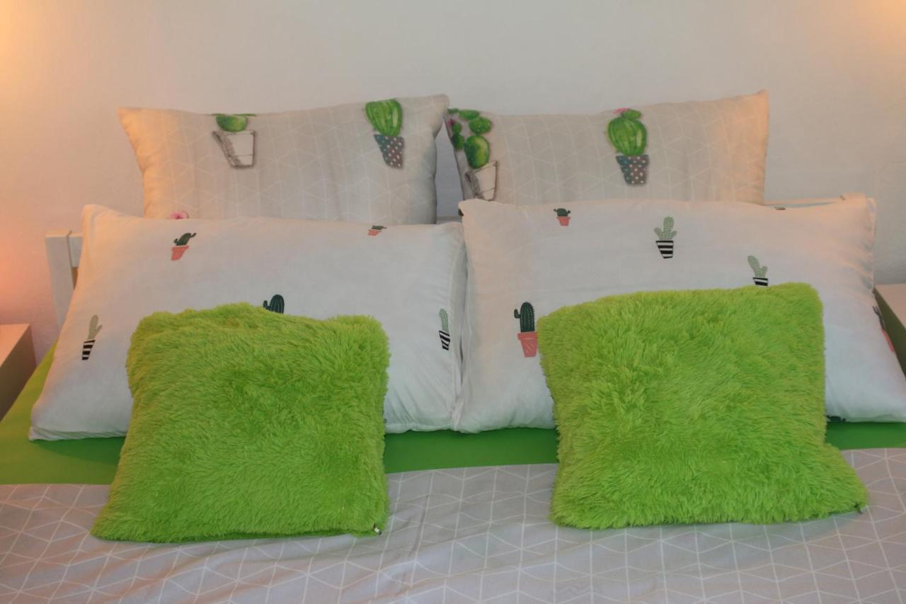 Green Cactus Rooms - Unique And Cozy House Zenta Kültér fotó