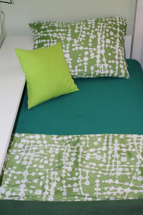 Green Cactus Rooms - Unique And Cozy House Zenta Kültér fotó