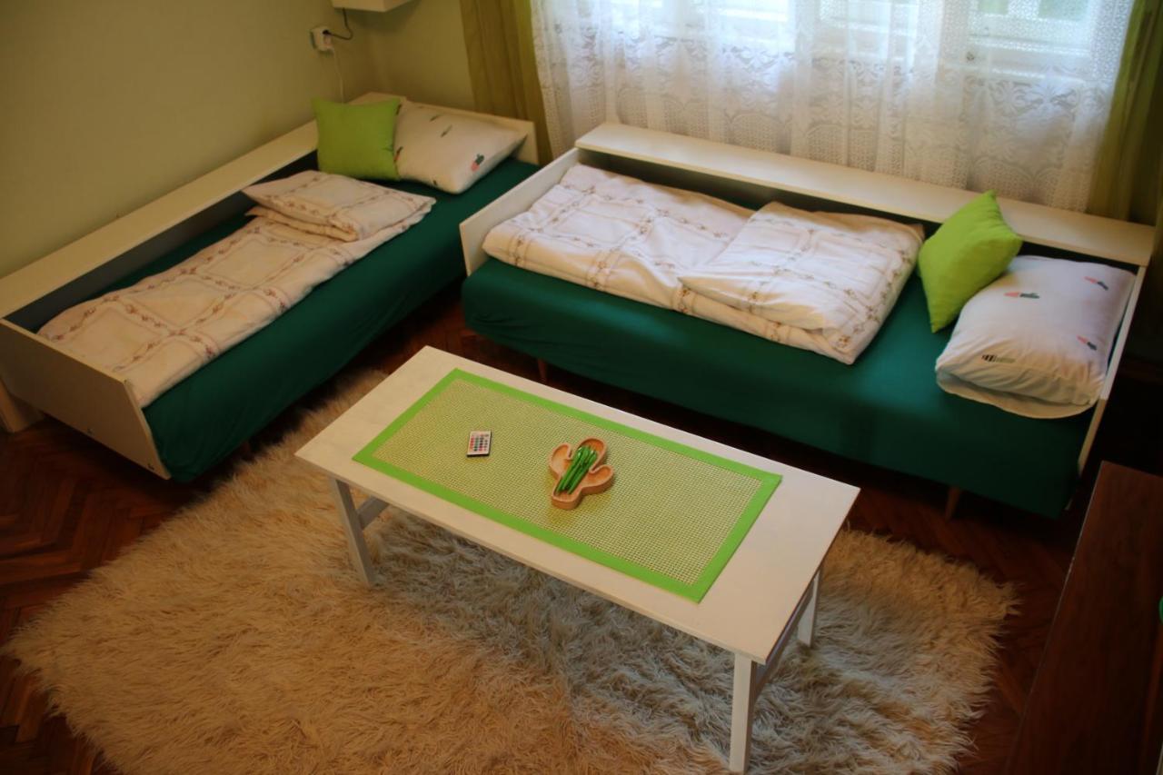 Green Cactus Rooms - Unique And Cozy House Zenta Kültér fotó