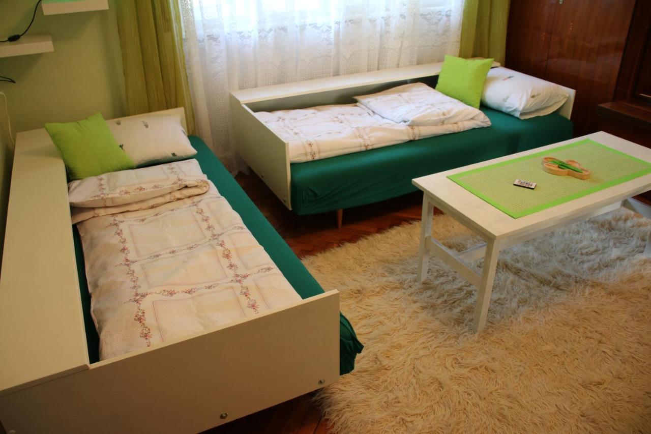 Green Cactus Rooms - Unique And Cozy House Zenta Kültér fotó