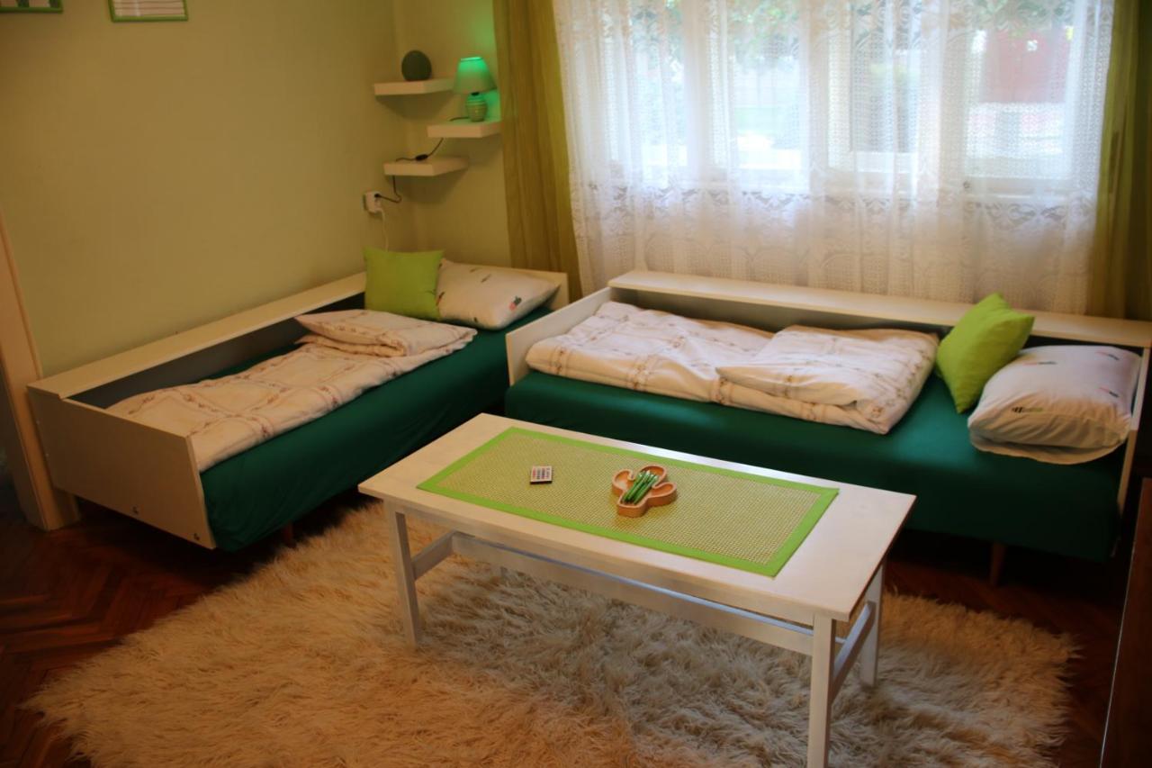 Green Cactus Rooms - Unique And Cozy House Zenta Kültér fotó