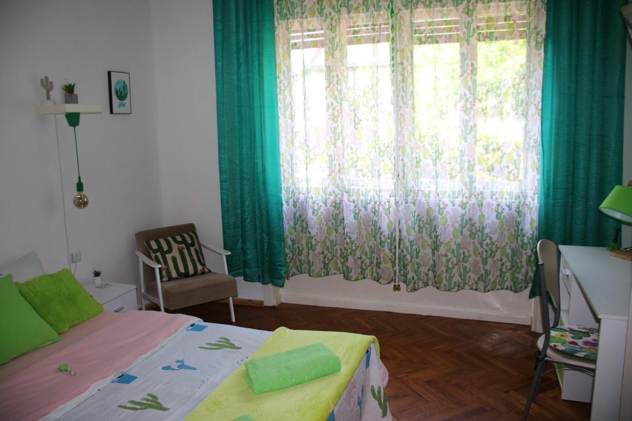 Green Cactus Rooms - Unique And Cozy House Zenta Kültér fotó