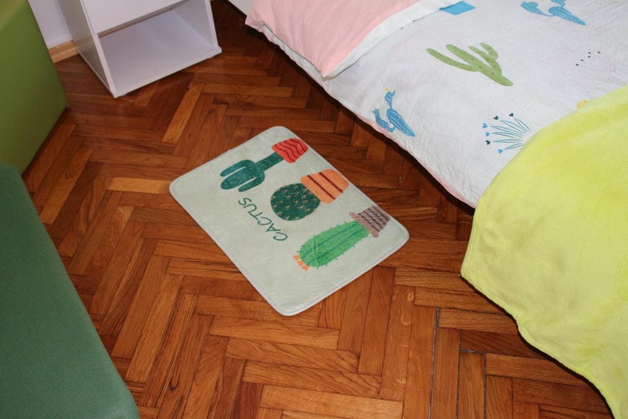 Green Cactus Rooms - Unique And Cozy House Zenta Kültér fotó