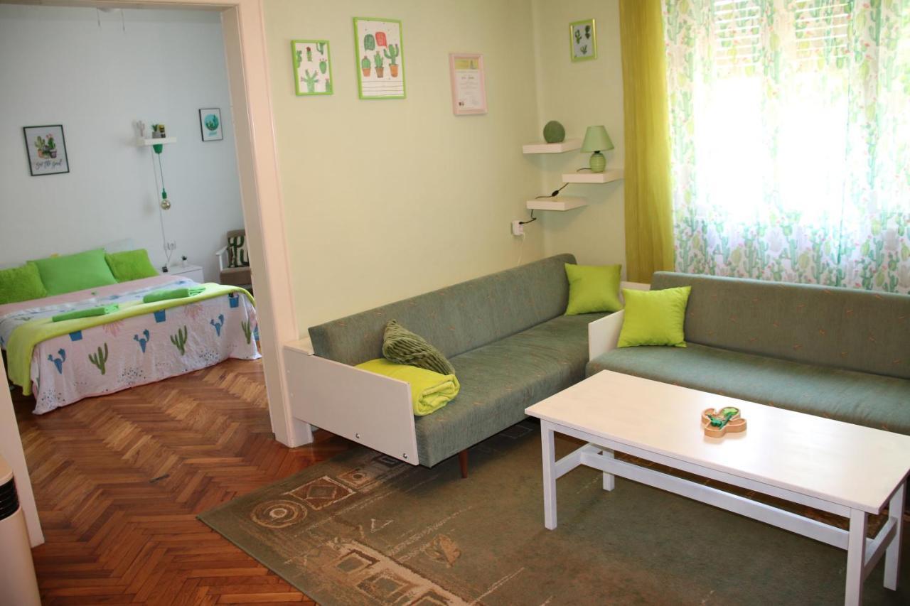 Green Cactus Rooms - Unique And Cozy House Zenta Kültér fotó