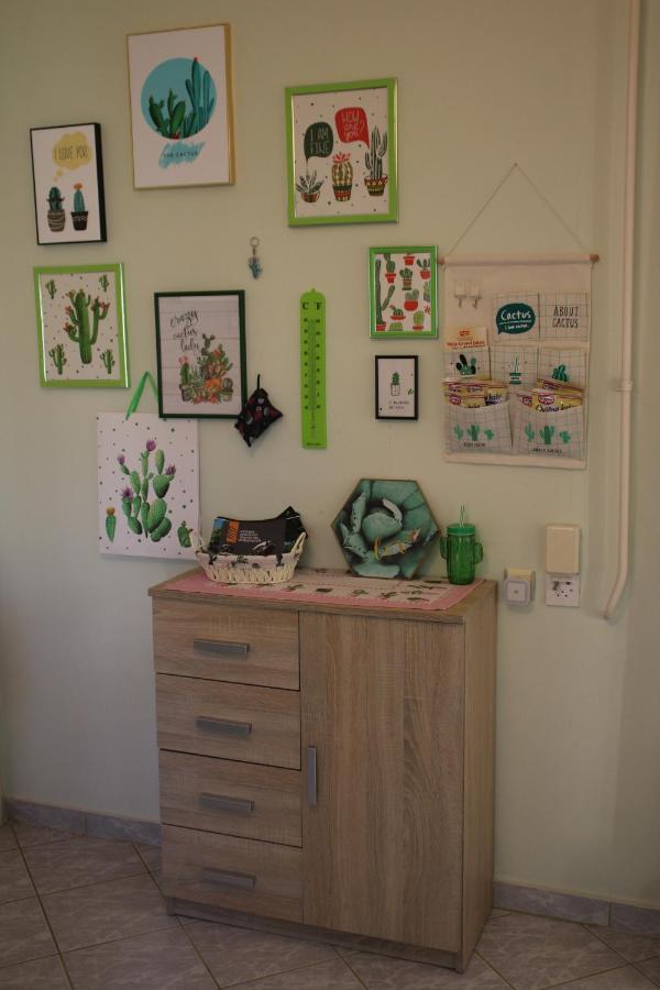 Green Cactus Rooms - Unique And Cozy House Zenta Kültér fotó