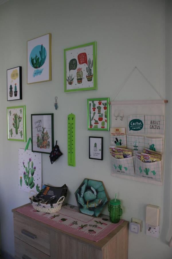 Green Cactus Rooms - Unique And Cozy House Zenta Kültér fotó