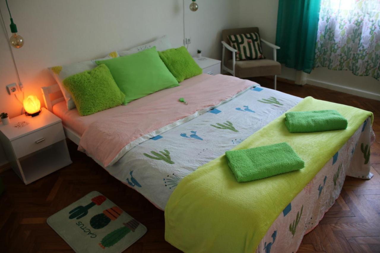 Green Cactus Rooms - Unique And Cozy House Zenta Kültér fotó