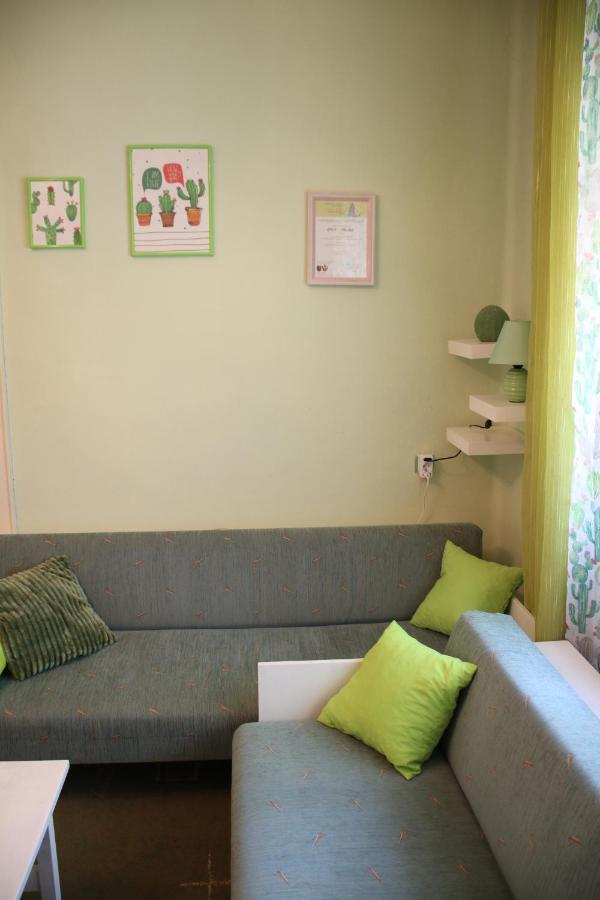 Green Cactus Rooms - Unique And Cozy House Zenta Kültér fotó