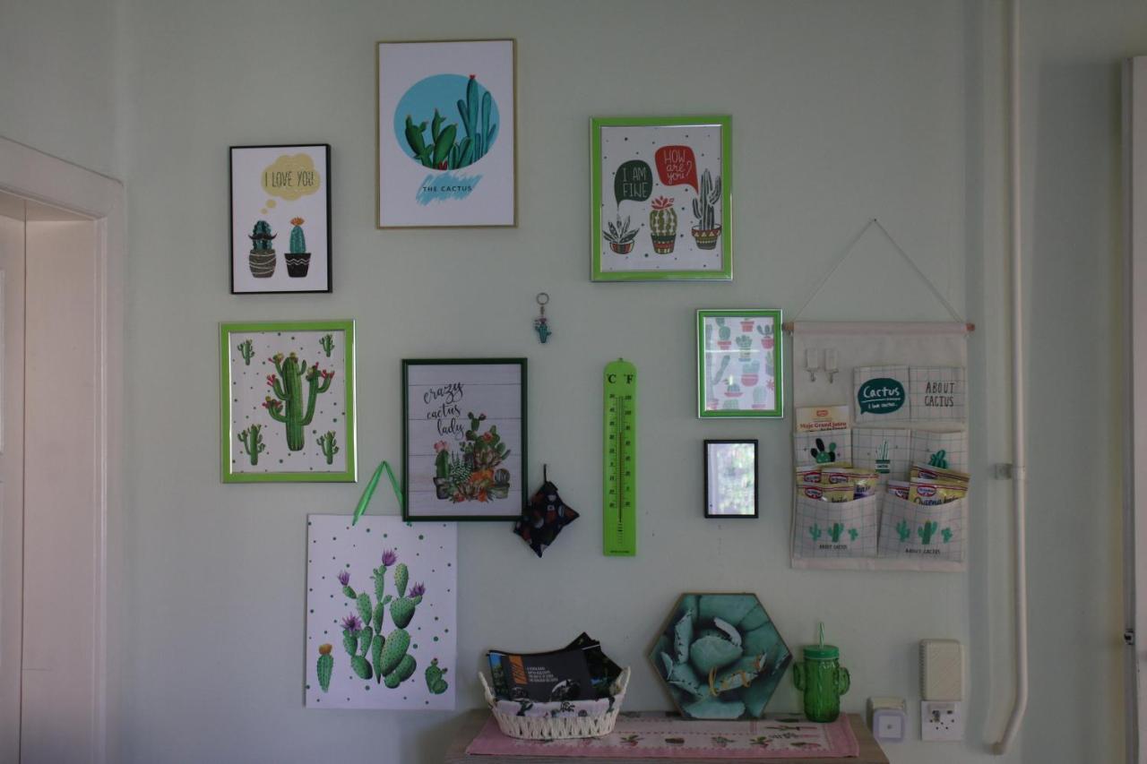 Green Cactus Rooms - Unique And Cozy House Zenta Kültér fotó