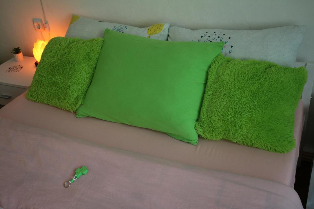 Green Cactus Rooms - Unique And Cozy House Zenta Kültér fotó