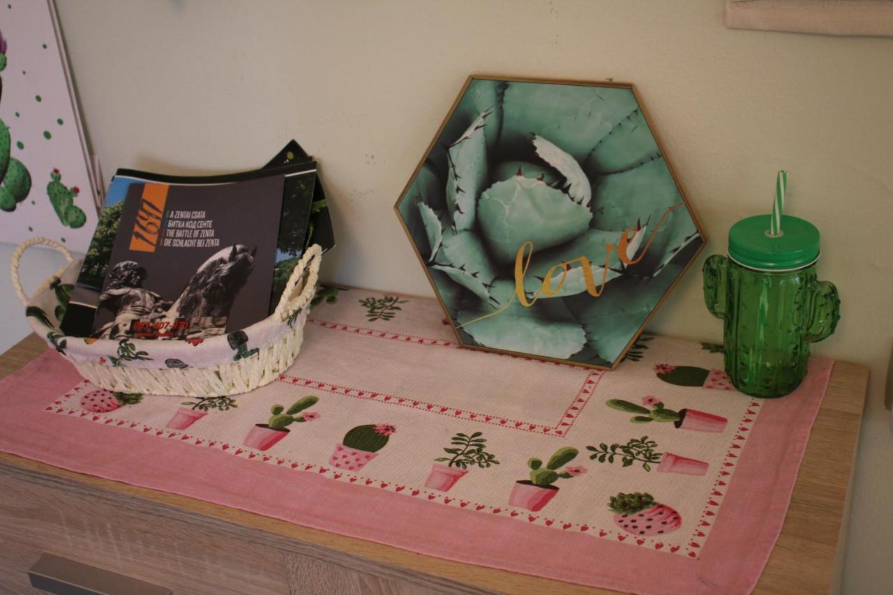 Green Cactus Rooms - Unique And Cozy House Zenta Kültér fotó