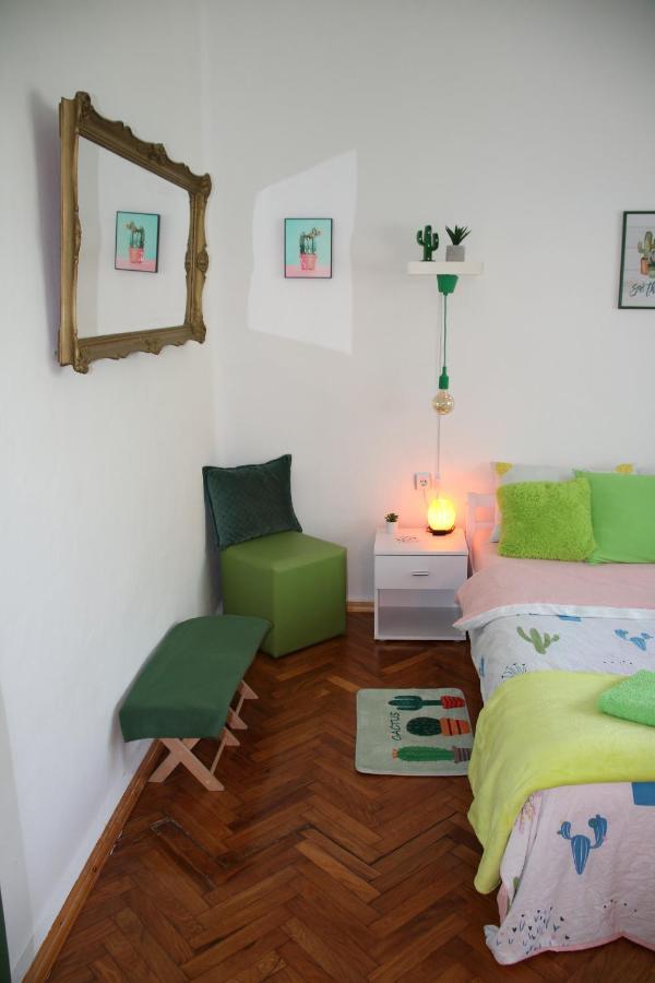 Green Cactus Rooms - Unique And Cozy House Zenta Kültér fotó