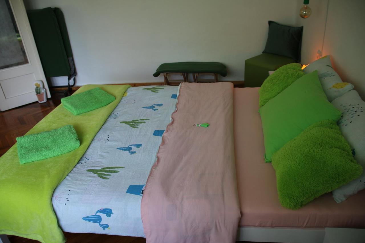 Green Cactus Rooms - Unique And Cozy House Zenta Kültér fotó