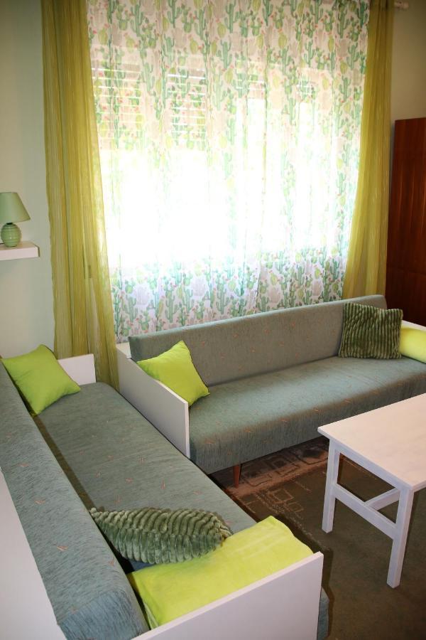 Green Cactus Rooms - Unique And Cozy House Zenta Kültér fotó