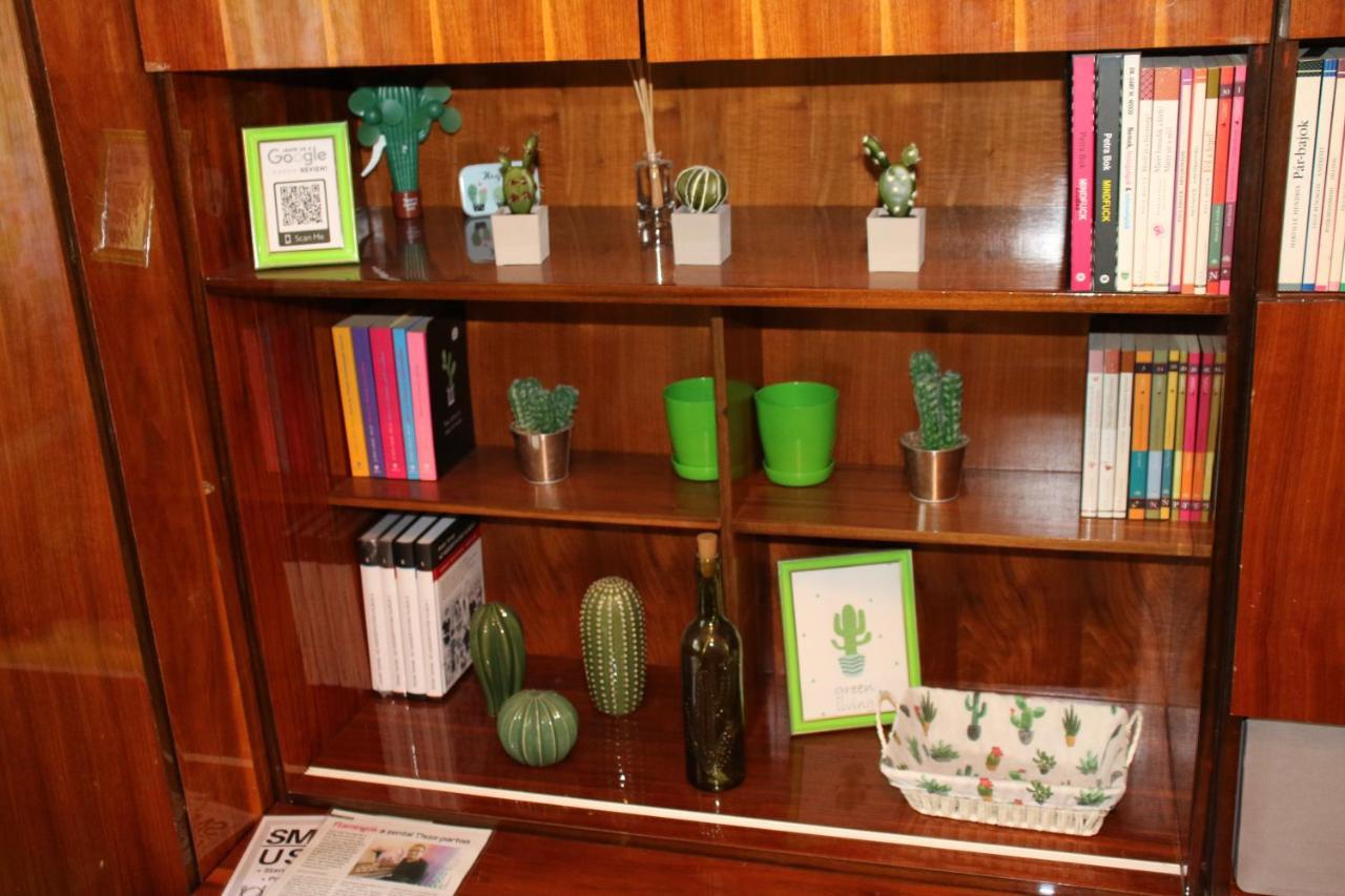 Green Cactus Rooms - Unique And Cozy House Zenta Kültér fotó