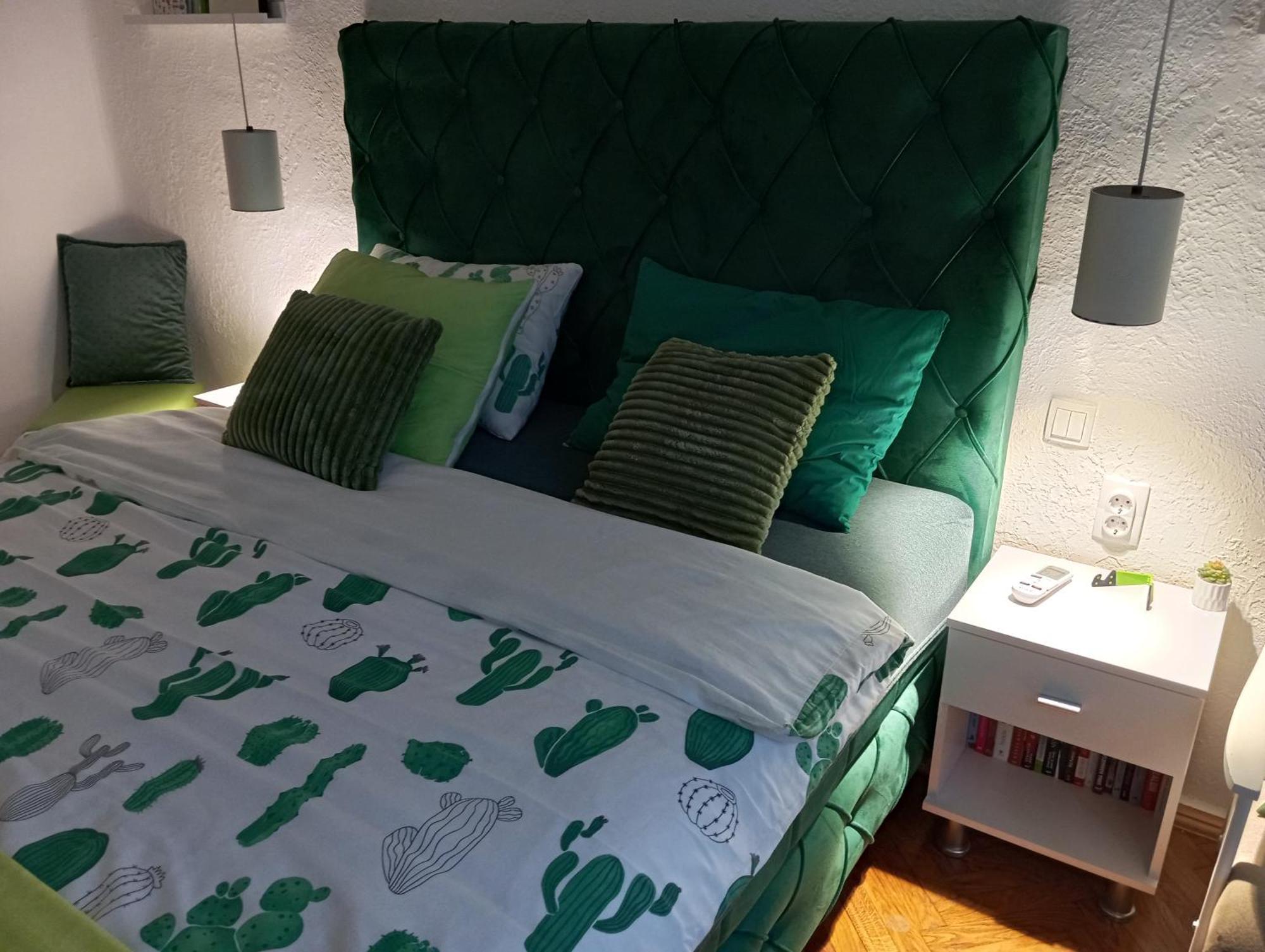 Green Cactus Rooms - Unique And Cozy House Zenta Kültér fotó