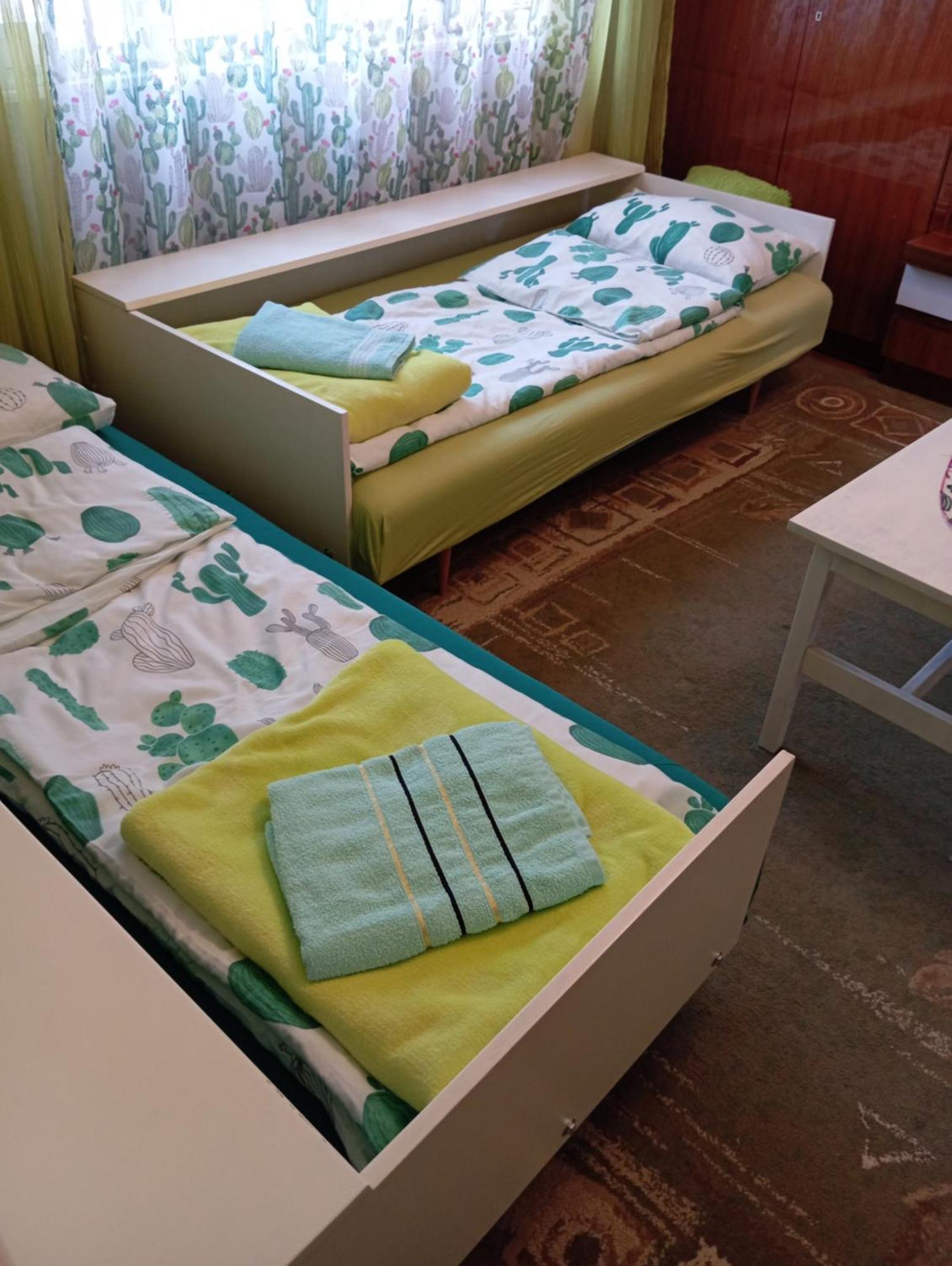 Green Cactus Rooms - Unique And Cozy House Zenta Kültér fotó