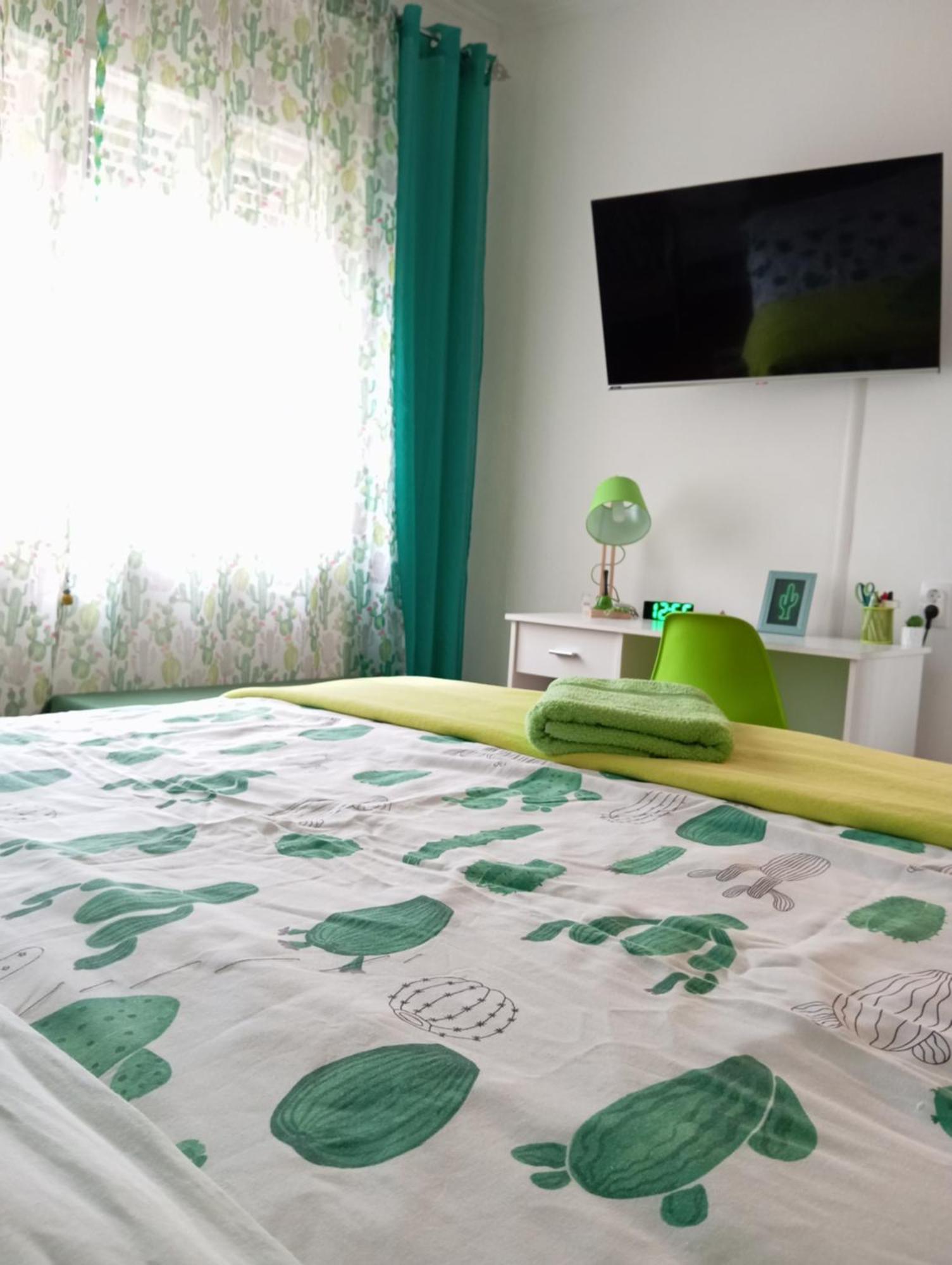 Green Cactus Rooms - Unique And Cozy House Zenta Kültér fotó