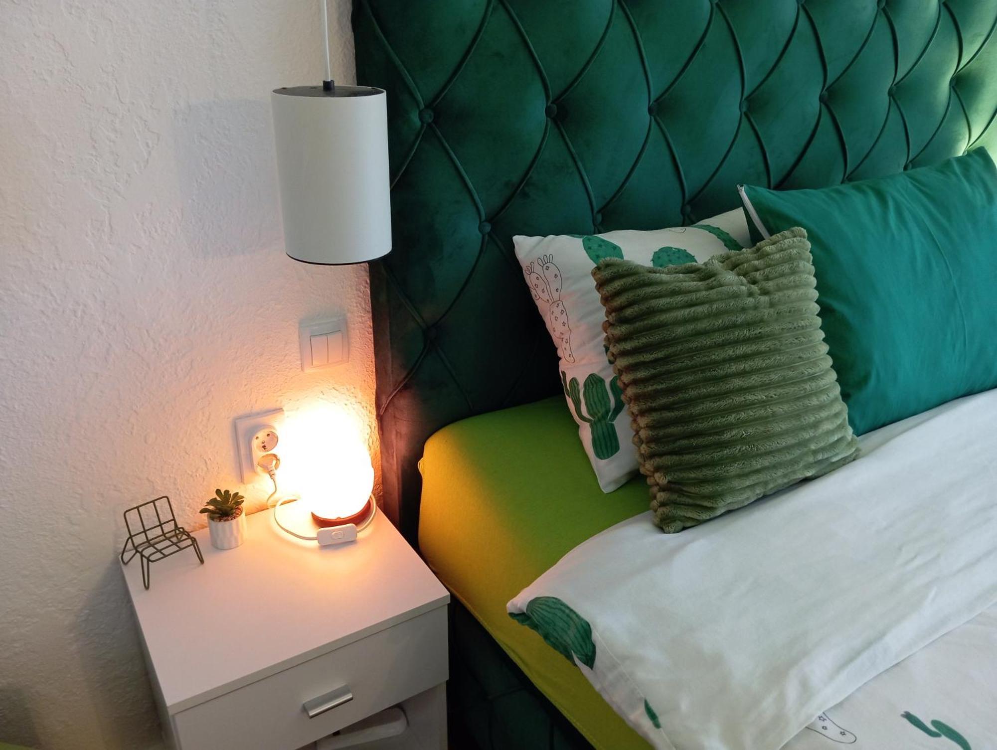 Green Cactus Rooms - Unique And Cozy House Zenta Kültér fotó